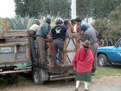 02-A truck with sheep